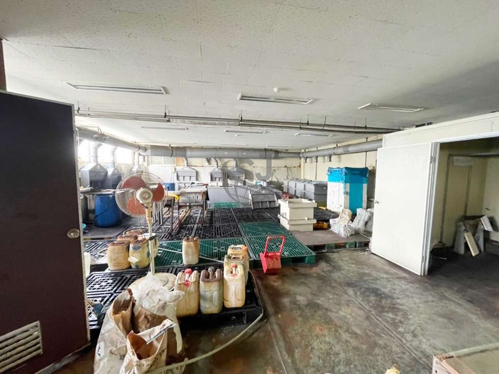 경기 안산단원구 원시동 전력충분, 오폐수시설, 도금업체적합, 컨디션좋음 월세 매물번호 12135 사진 2