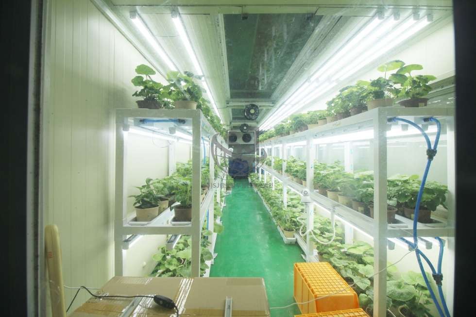 경기 안산단원구 신길동 저온창고보유, 냉온풍기, 역세권, 컨디션좋음 월세 매물번호 11795 사진 2